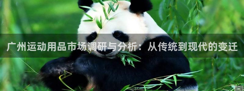 凯捷体育平台注册流程视频：广州运动用品市场调研与分析