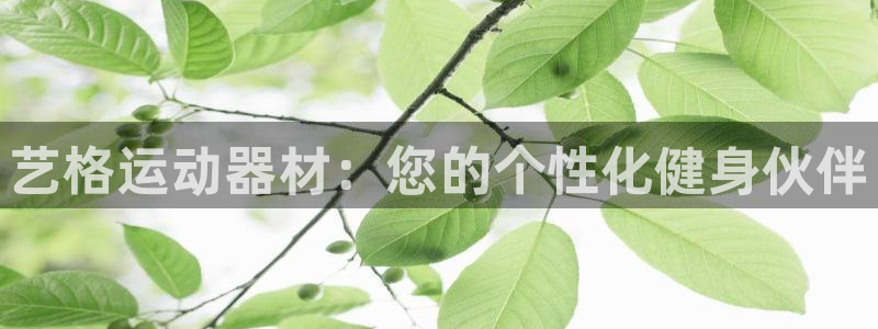 凯捷体育平台注册流程视频：艺格运动器材：您的个性化健