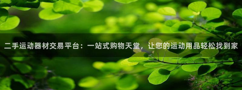 凯捷体育：二手运动器材交易平台：一站式购物天堂，让您