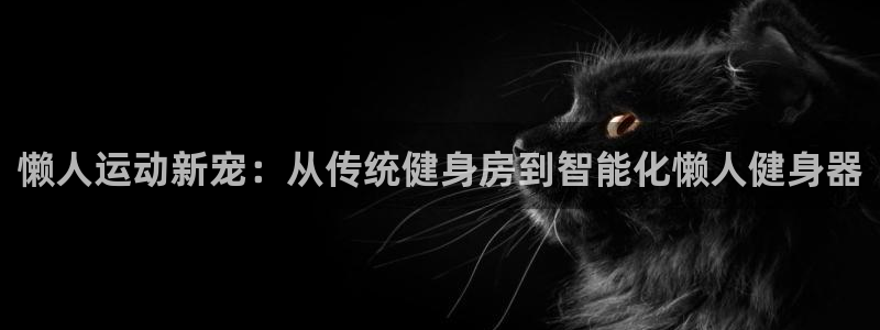 凯捷体育五金厂：懒人运动新宠：从传统健身房到智能化懒人健身器