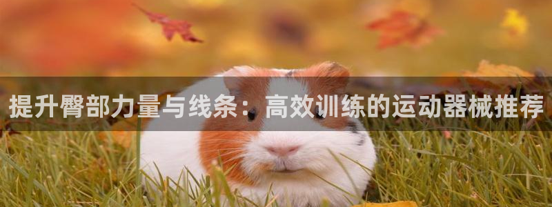凯捷体育平台APP