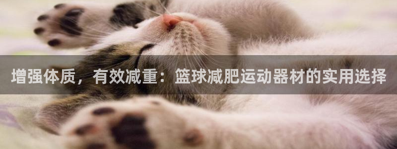 凯捷体育平台注册流程图：增强体质，有效减重：篮球减肥运动器材