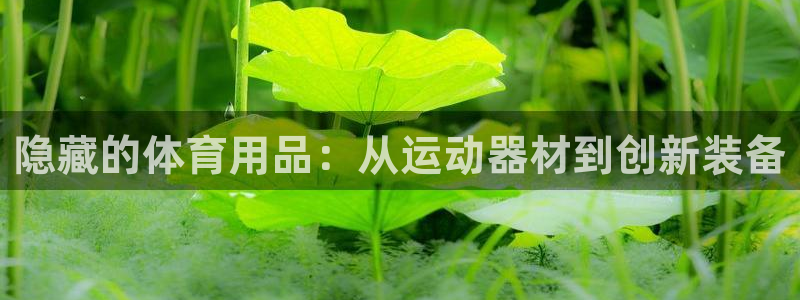 凯捷体育官网：隐藏的体育用品：从运动器材到创新装备
