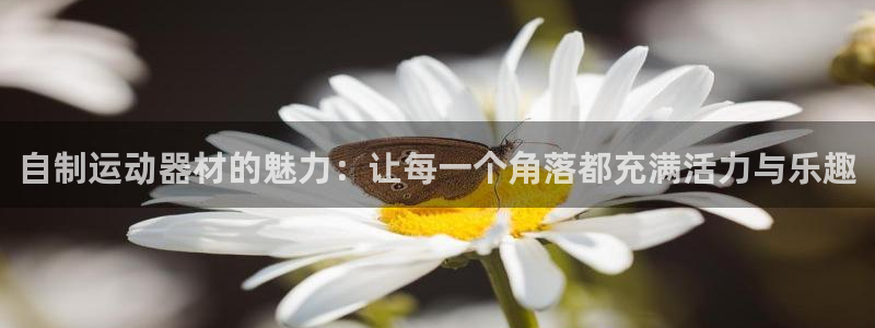 凯捷体育新能源：自制运动器材的魅力：让每一个角落都充
