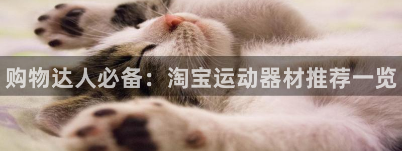 凯捷体育代理：购物达人必备：淘宝运动器材推荐一览