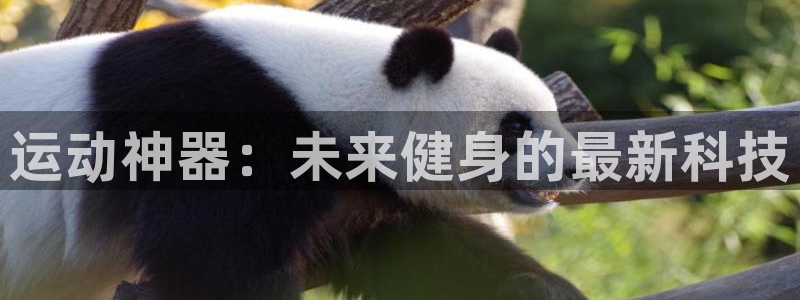凯捷体育平台注册要钱吗是真的吗：运动神器：未来健身的
