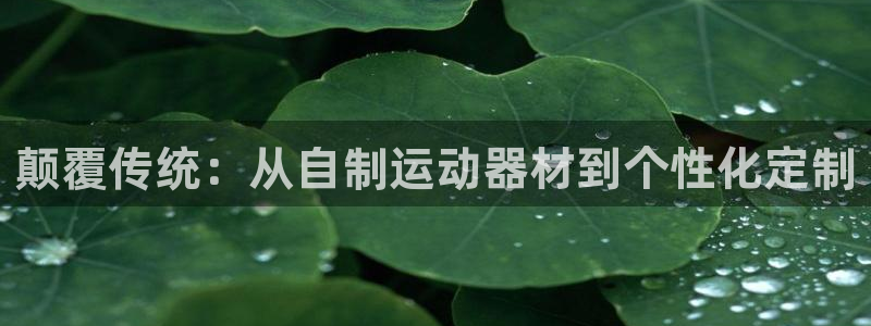 凯捷体育官网：颠覆传统：从自制运动器材到个性化定制