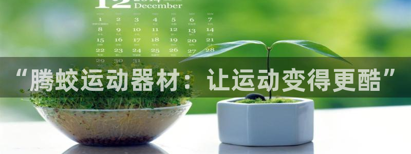 凯捷体育招商电话是多少