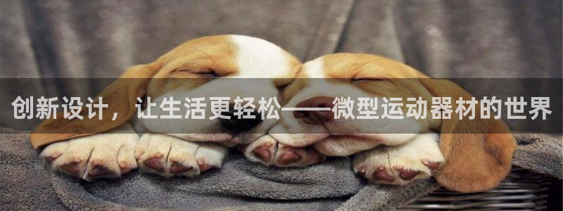 凯捷体育招商电话号码查询：创新设计，让生活更轻松——微型运动