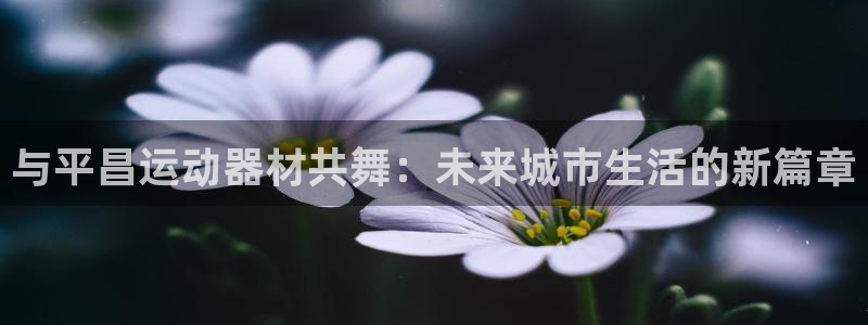 凯捷体育代理