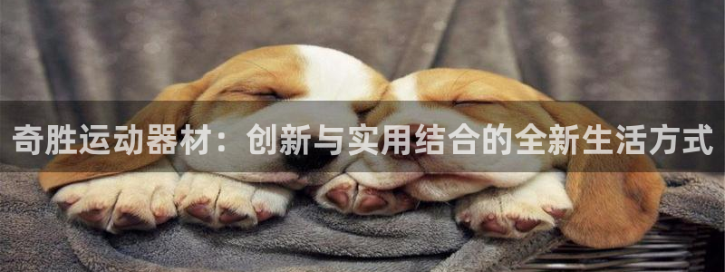 凯捷体育：奇胜运动器材：创新与实用结合的全新生活方式