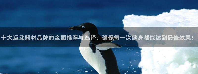 凯捷体育娱乐是那个系列的台子：十大运动器材品牌的全面推荐与选