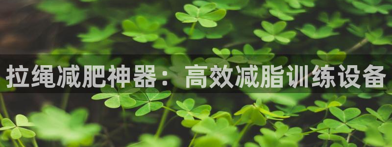 凯捷体育平台注册流程图：拉绳减肥神器：高效减脂训练设备