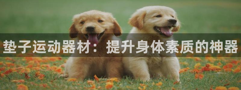 凯捷体育招商电话号码查询：垫子运动器材：提升身体素质的神器