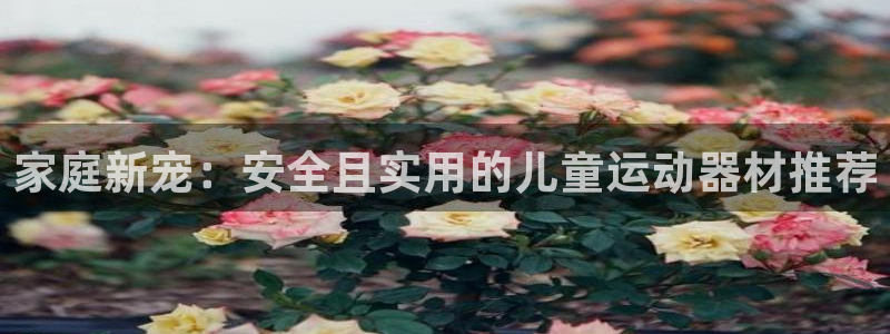 凯捷体育注册：家庭新宠：安全且实用的儿童运动器材推荐