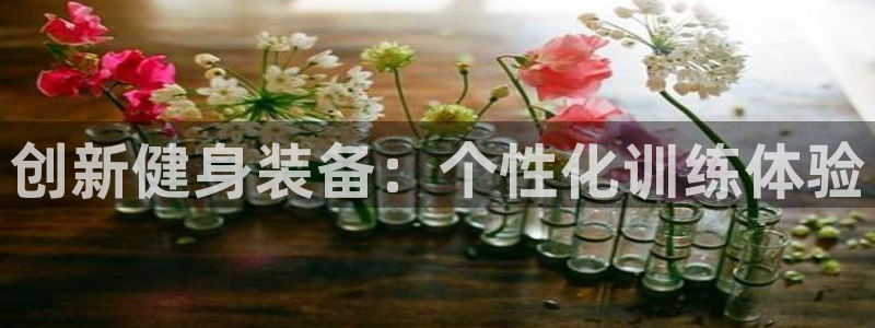 海南凯捷体育发展怎么样：创新健身装备：个性化训练体验