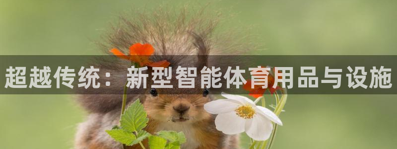 凯捷体育招商电话号码是多少啊：超越传统：新型智能体育