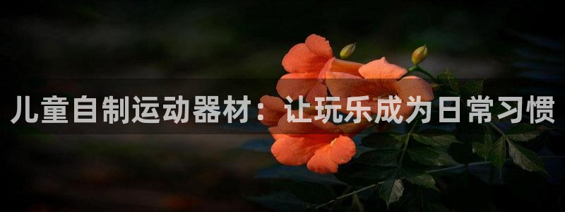 凯捷体育官方客服电话:儿童自制运动器材:让玩乐成为日常习惯