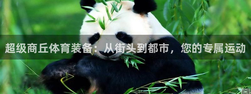 凯捷体育娱乐下载：超级商丘体育装备：从街头到都市，您