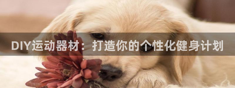凯捷体育招商电话：DIY运动器材：打造你的个性化健身