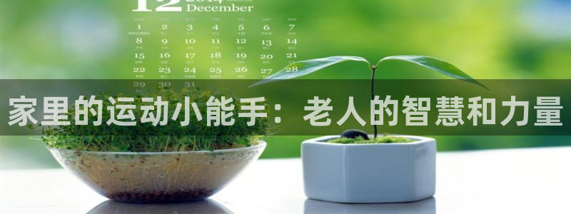 凯捷体育集团：家里的运动小能手：老人的智慧和力量