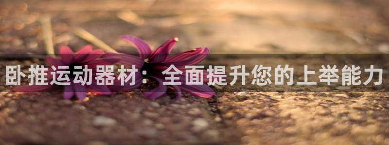 凯捷体育娱乐40996：卧推运动器材：全面提升您的上