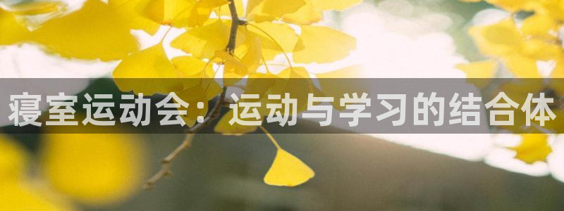 凯捷体育集团简介：寝室运动会：运动与学习的结合体