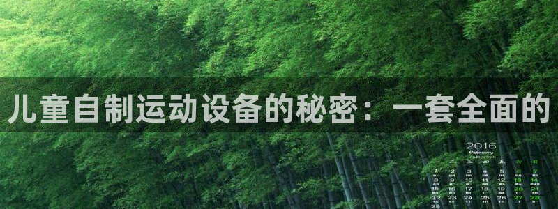 凯捷体育代理：儿童自制运动设备的秘密：一套全面的