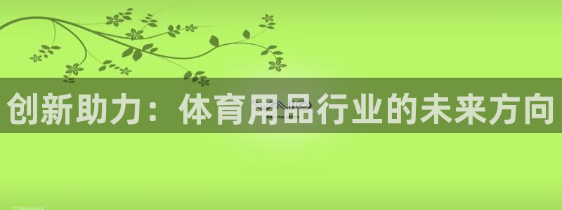 凯捷体育娱乐首页网站大全：创新助力：体育用品行业的未