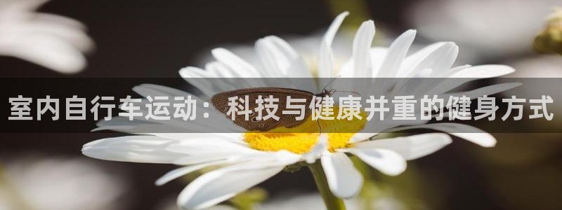 凯捷体育科技：室内自行车运动：科技与健康并重的健身方