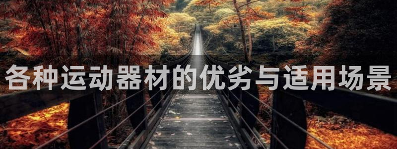 凯捷体育是干嘛的公司
