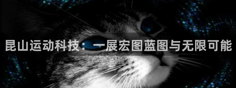 凯捷体育娱乐代理怎么样：昆山运动科技：一展宏图蓝图与