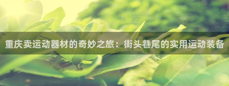 凯捷体育集团官网网址
