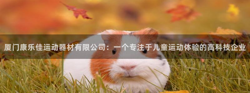 意昂平台体育