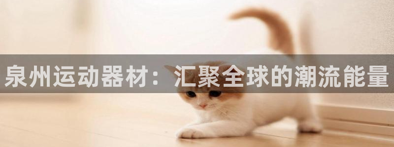 凯捷体育娱乐平台：泉州运动器材：汇聚全球的潮流能量
