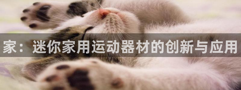 凯捷体育平台注册要钱吗：家：迷你家用运动器材的创新与