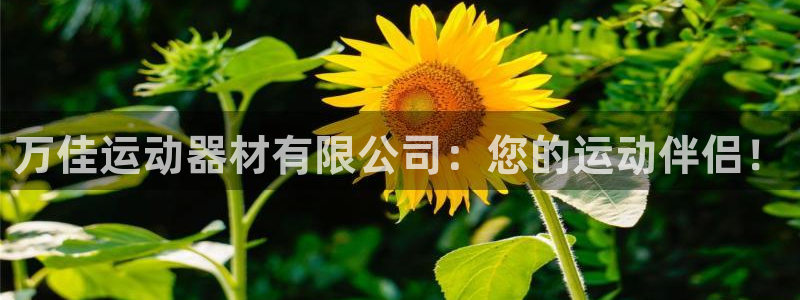 凯捷体育集团官网首页网址：万佳运动器材有限公司：您的运动伴侣