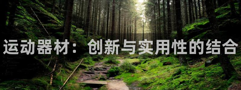 意昂集团官网：运动器材：创新与实用性的结合